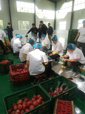 玉皇廟鎮中匯中央廚房攜手美團開展市場調研，開啟數字化餐飲新篇章